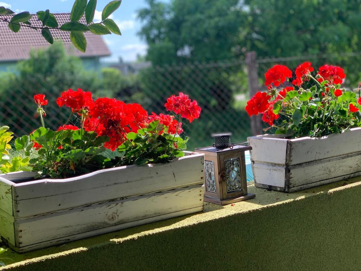 Apartmany Zeleny Dom Подгайска Экстерьер фото